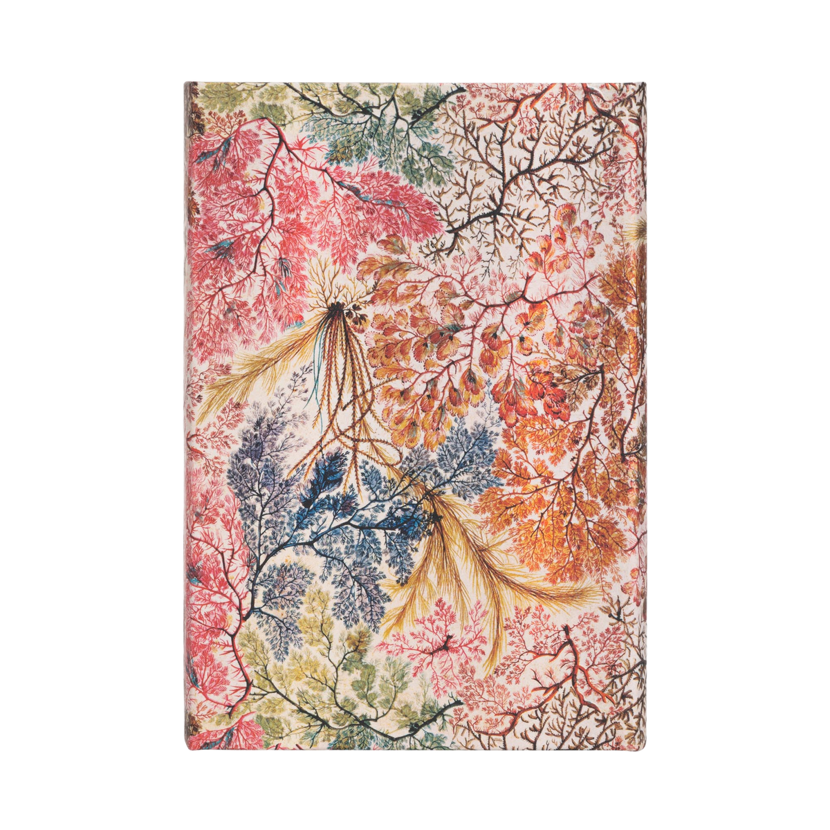 Paperblanks Anemone Mini Hardback Journal – Lined, 176 Pages – back cover