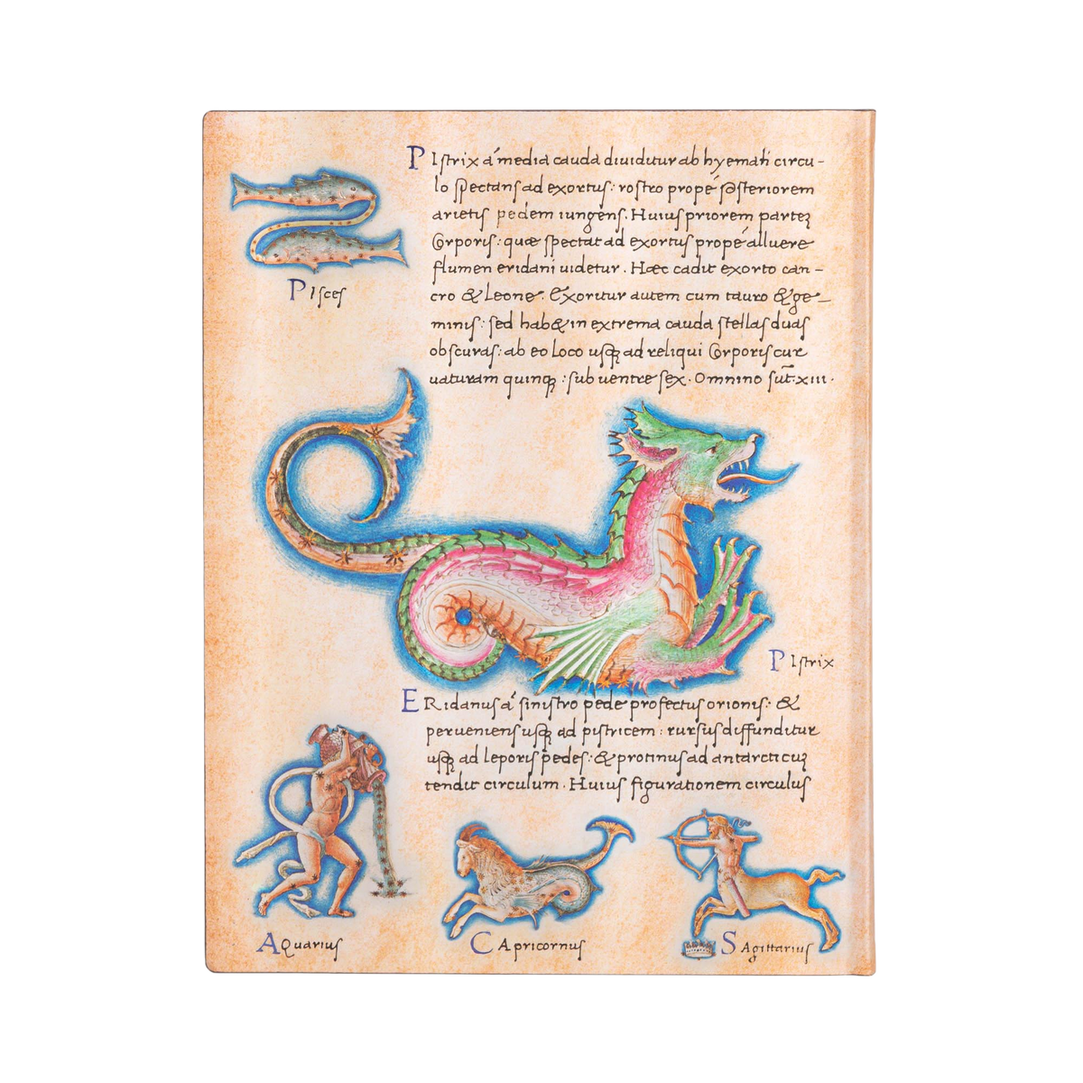 Paperblanks Astronomica Ultra Softback Flexi Journal – Lined, 176 Pages – back cover