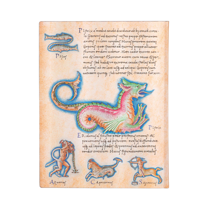 Paperblanks Astronomica Ultra Softback Flexi Journal – Lined, 176 Pages – back cover