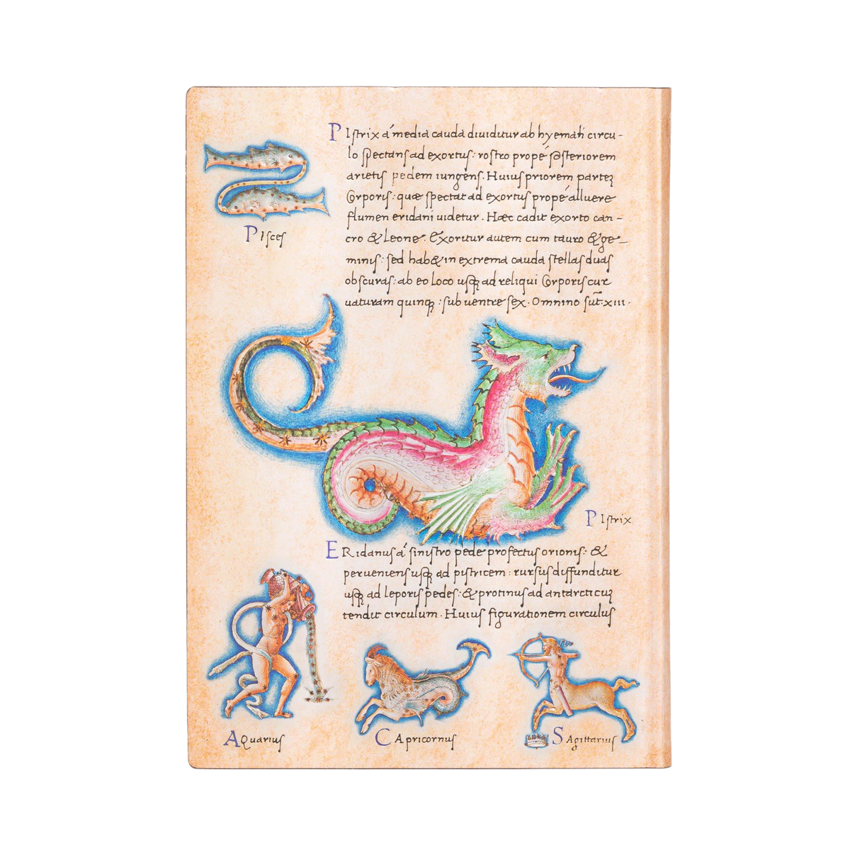 Paperblanks Astronomica Midi Softback Flexi Journal – Lined, 176 Pages – back cover