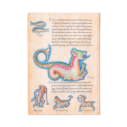 Paperblanks Astronomica Midi Softback Flexi Journal – Lined, 176 Pages – back cover