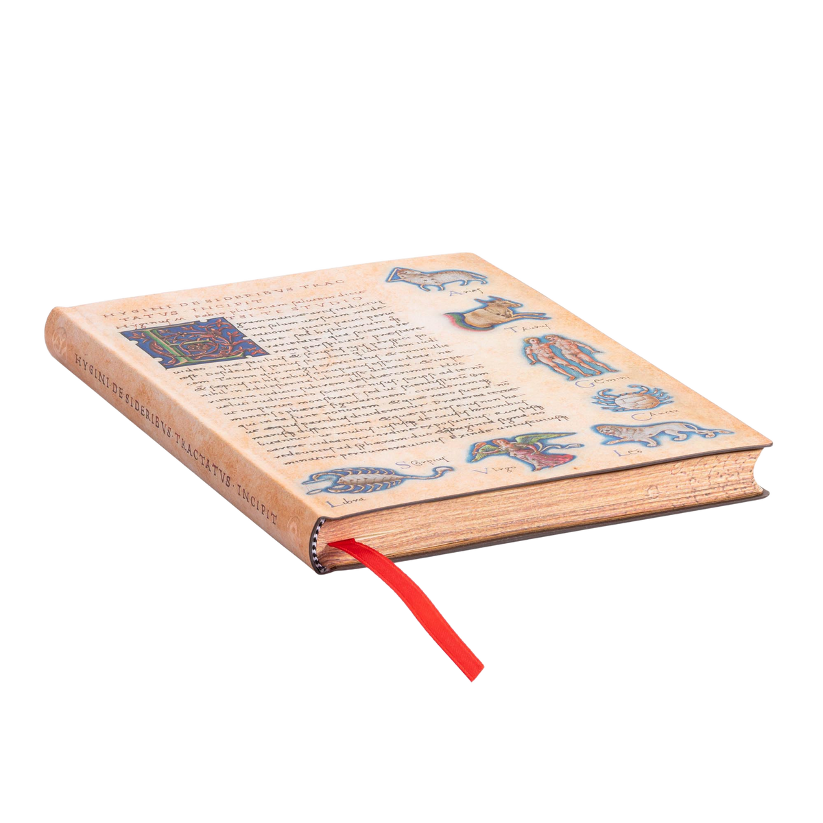 Paperblanks Astronomica Midi Softback Flexi Journal – Lined, 176 Pages – page edge