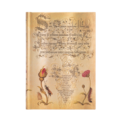 Paperblanks Flemish Rose Midi Hardback Journal – Lined, 144 Pages – front cover