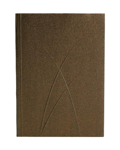 Paper-Oh Puro Bronze A6 Softback Notebook – Plain – product view