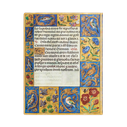 Paperblanks Spinola Hours Ultra Softback Flexi Journal – Plain, 176 Pages – back cover