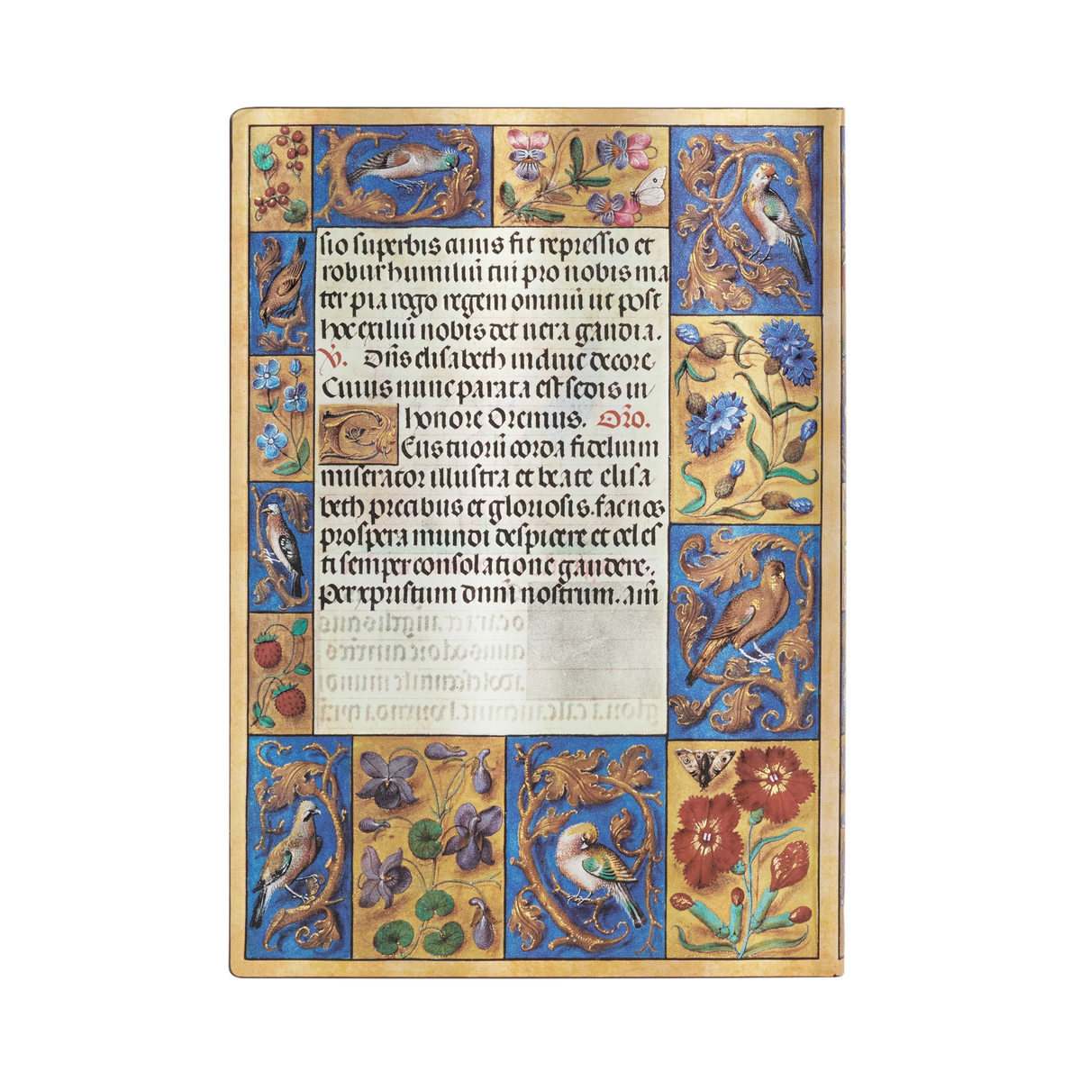 Paperblanks Spinola Hours Midi Softback Flexi Journal – Plain, 176 Pages – back cover