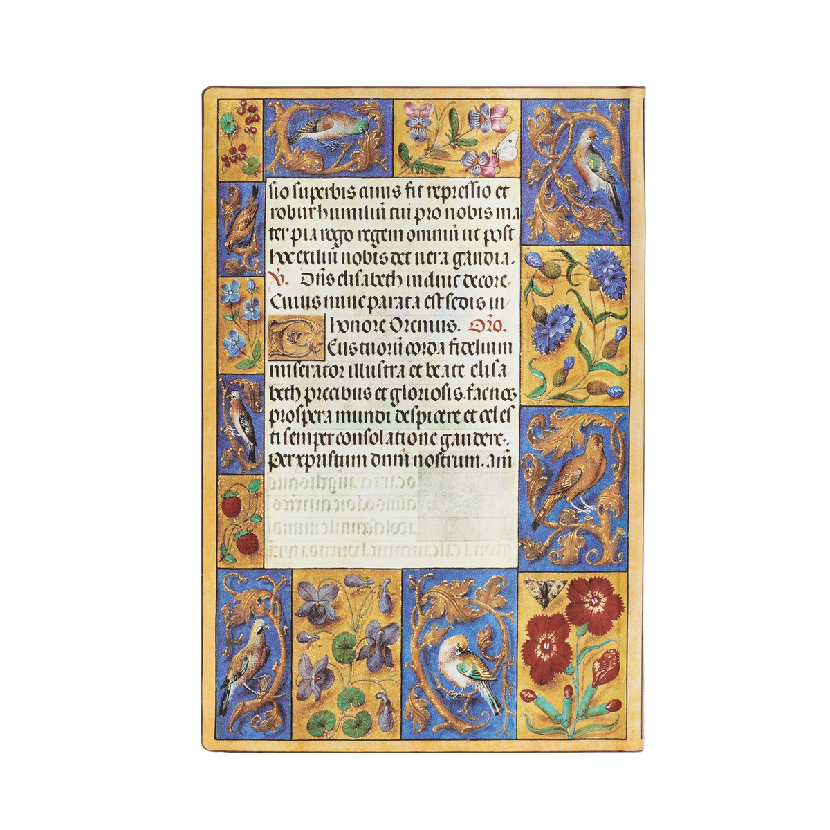 Paperblanks Spinola Hours Mini Softback Flexi Journal – Lined, 208 Pages – back cover
