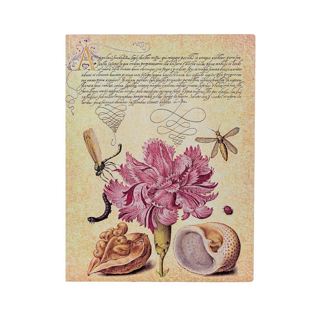 Paperblanks Pink Carnation Ultra Softback Flexi Journal – Lined, 176 Pages – front cover