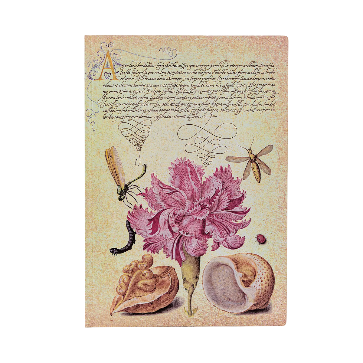 Paperblanks Pink Carnation Midi Softback Flexi Journal – Lined, 176 Pages – front cover