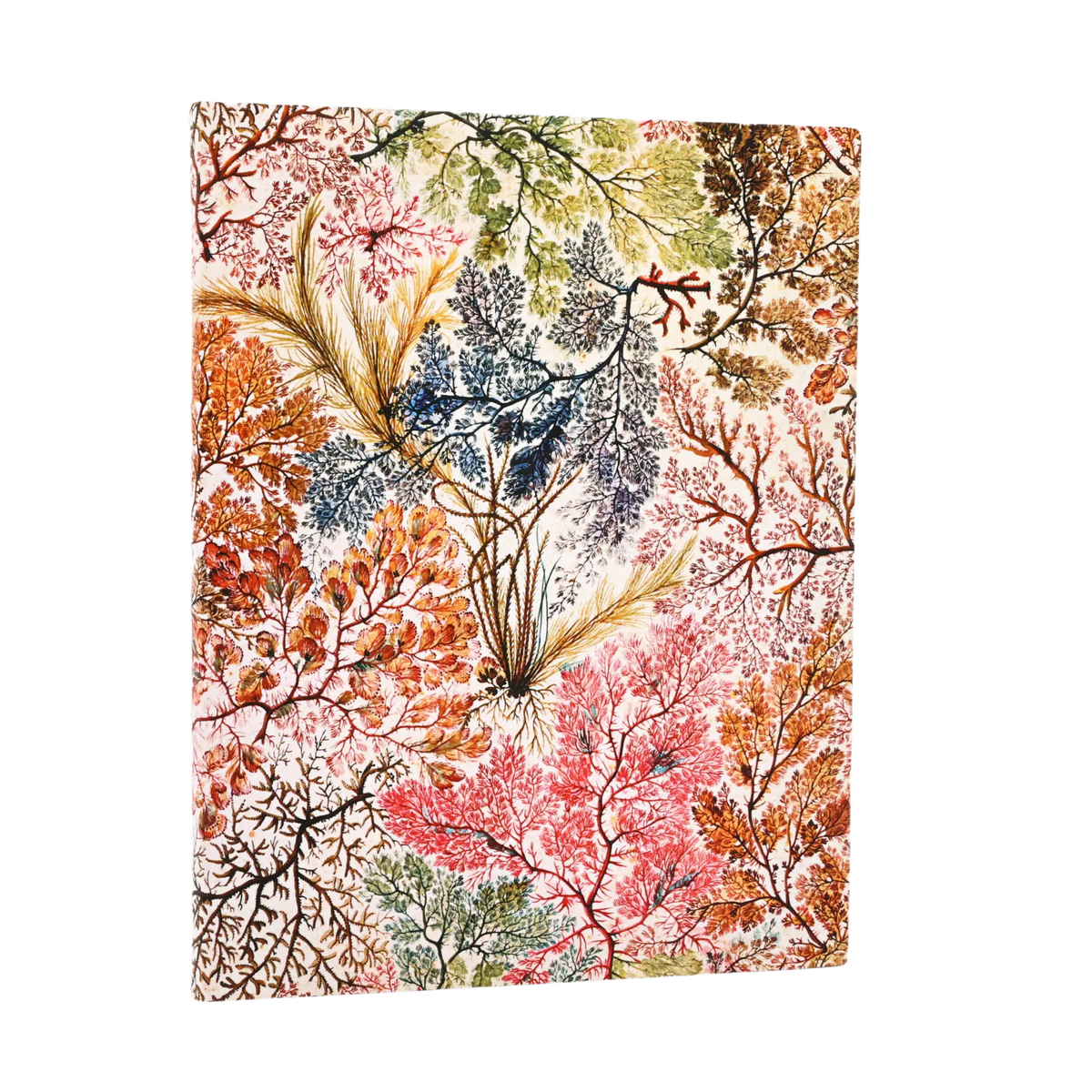 Paperblanks Anemone Ultra Softback Flexi Journal – Lined, 176 Pages – front cover