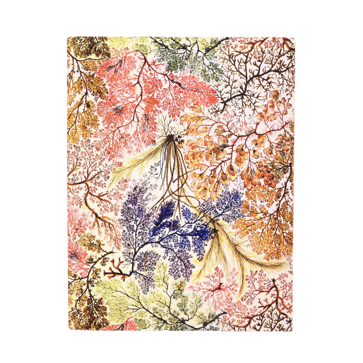 Paperblanks Anemone Ultra Softback Flexi Journal – Plain, 176 Pages – back cover