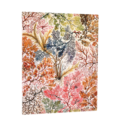 Paperblanks Anemone Ultra Softback Flexi Journal – Plain, 176 Pages – front cover