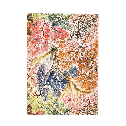 Paperblanks Anemone Midi Softback Flexi Journal – Plain, 176 Pages – back cover