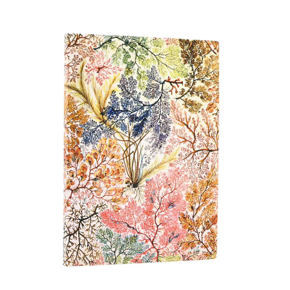 Paperblanks Anemone Midi Softback Flexi Journal – Plain, 176 Pages – front cover