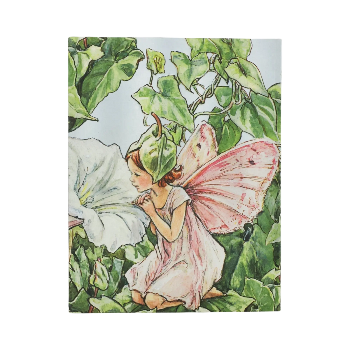 Paperblanks Bindweed Fairy Ultra Softback Flexi Journal – Plain, 176 Pages – back cover