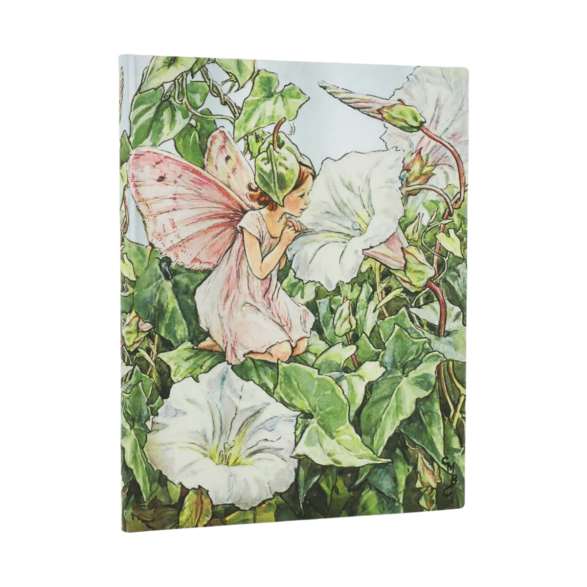 Paperblanks Bindweed Fairy Ultra Softback Flexi Journal – Plain, 176 Pages – front cover