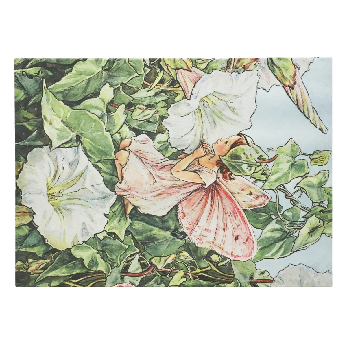 Paperblanks Bindweed Fairy Document Folder – back view