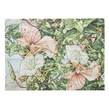 Paperblanks Bindweed Fairy Document Folder – front view