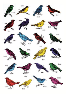 Bird, Bird, Bird by John Dilnot – A3 Art Print