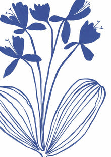Blooms by Becky Paterson – A3 Art Print