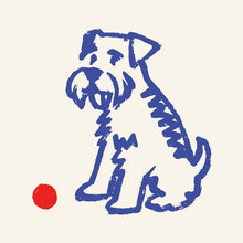 Schnauzer Line Drawing by Tony Gareth – 12-inch Square Art Print