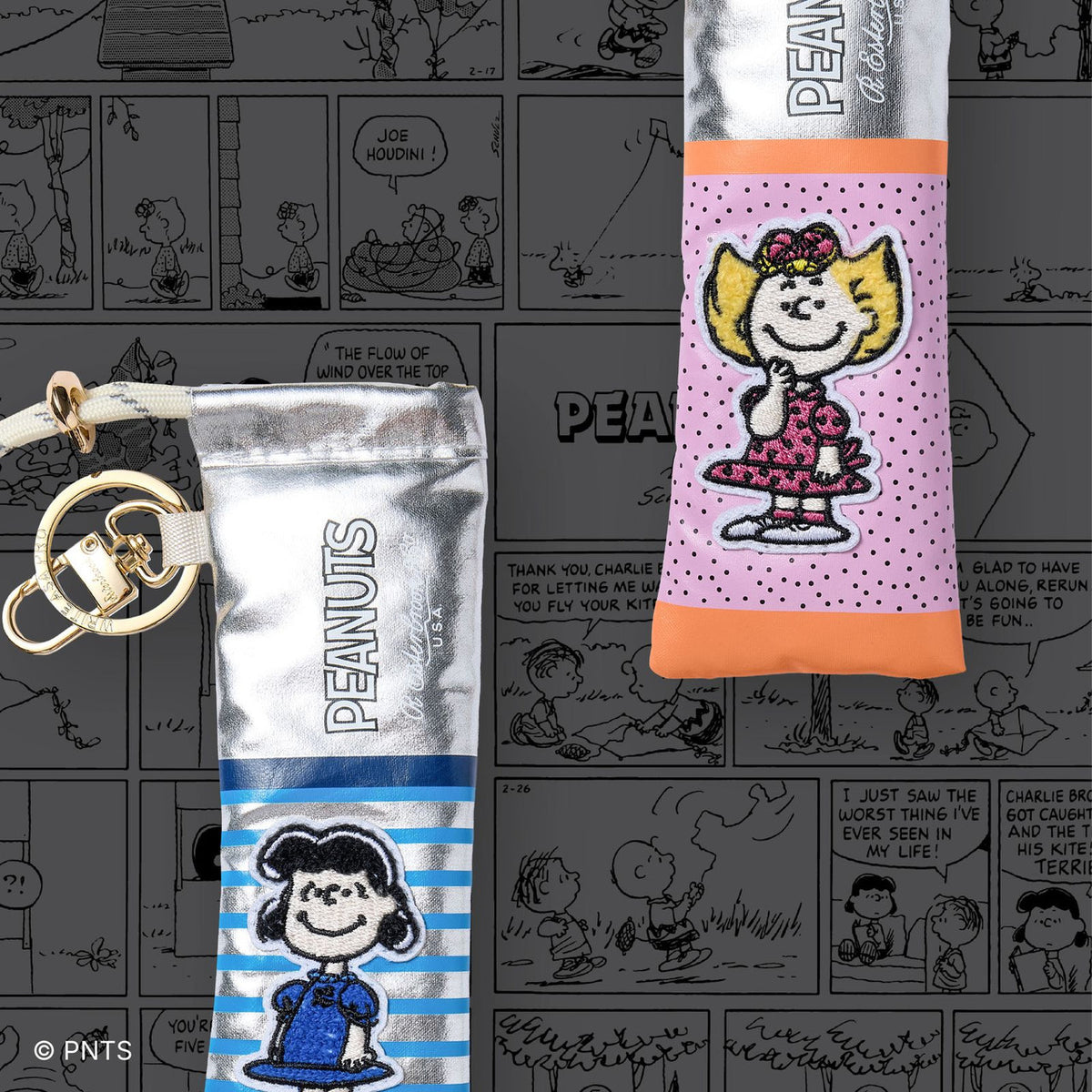 Peanuts pen case