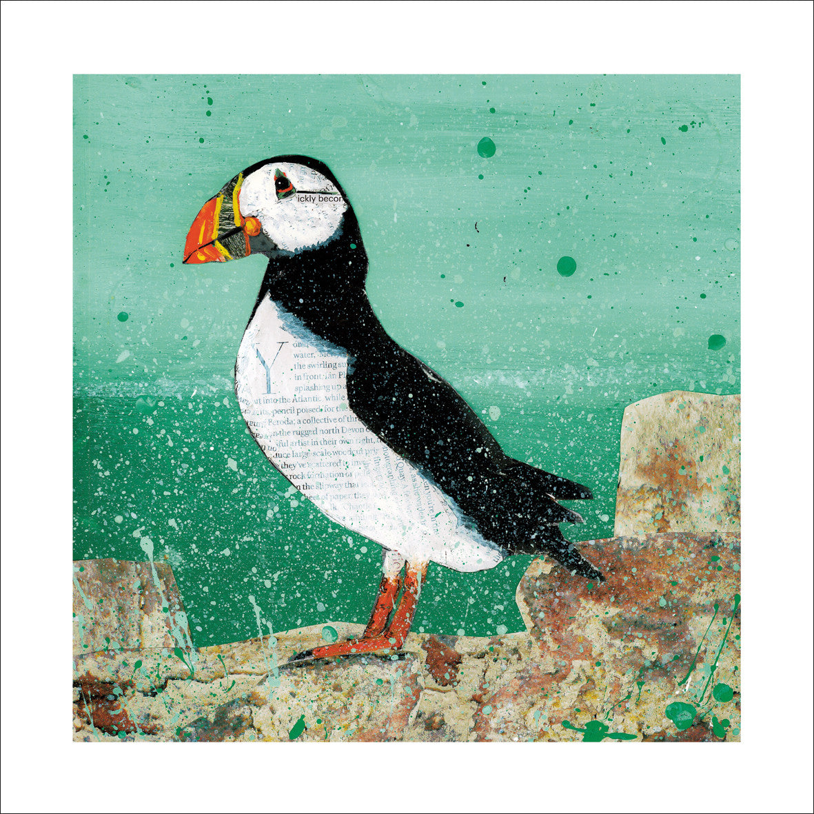 Puffin Card by Adam James Severn