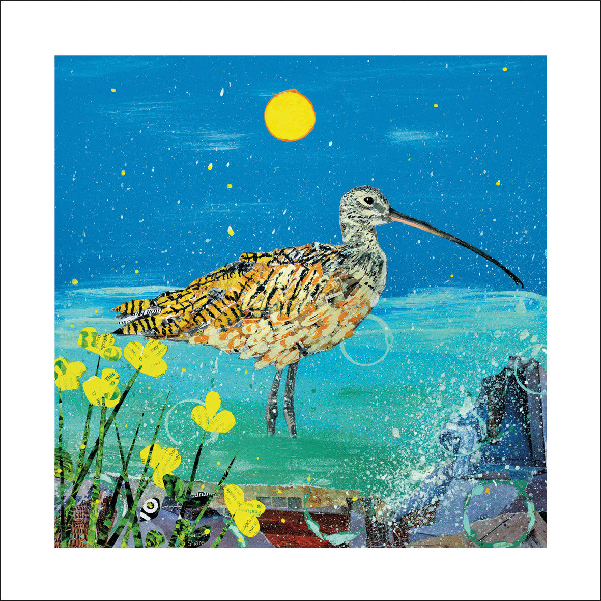 Cornish Curlew Card by Adam James Severn