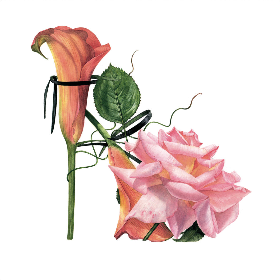 Edith Shoe Card by Billy Showell