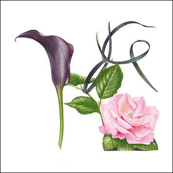 Black and Pink Shoe Card by Billy Showell