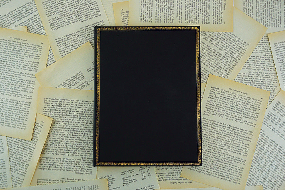 Paperblanks Black Edition Bold Document Folder – design detail