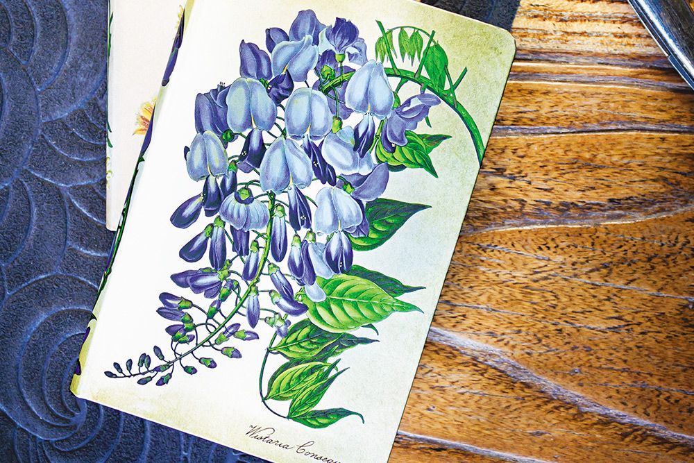 Paperblanks Blooming Wisteria Mini Hardback Journal – Plain, 176 Pages – design detail