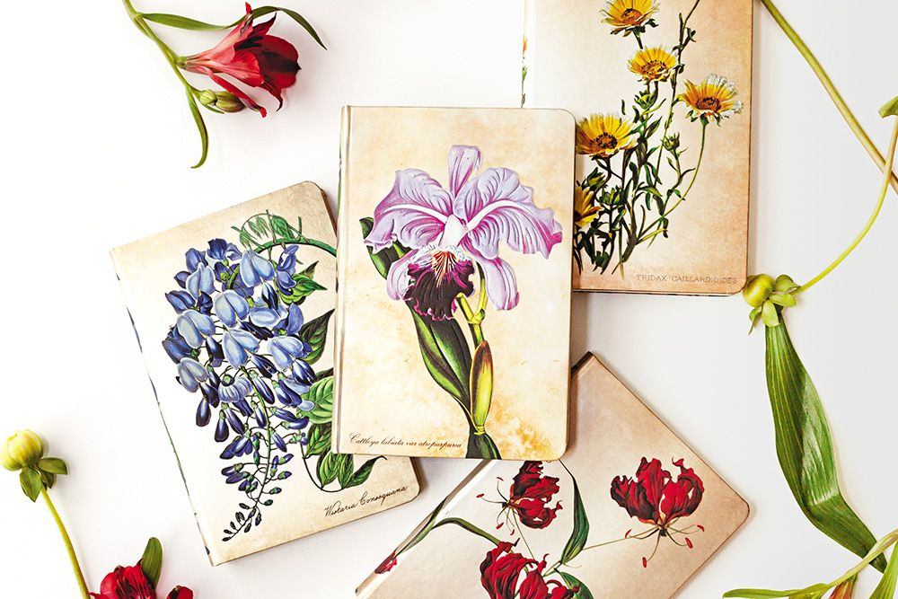 Paperblanks Brazilian Orchid Mini Hardback Journal – Lined, 176 Pages – design detail