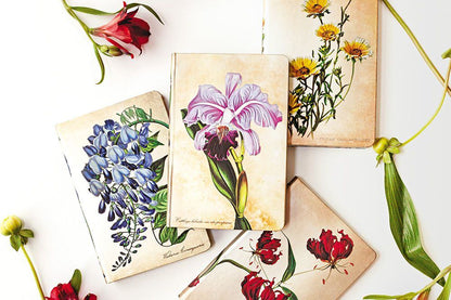Paperblanks Brazilian Orchid Mini Hardback Journal – Lined, 176 Pages – design detail