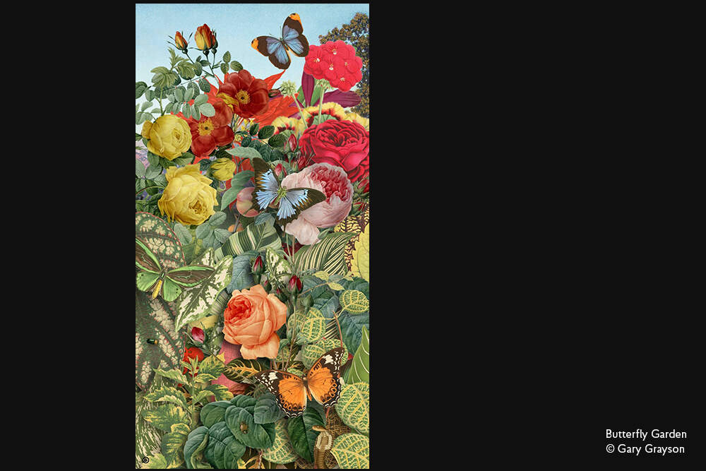Paperblanks Butterfly Garden Midi Hardback Journal – Plain, 144 Pages – design detail