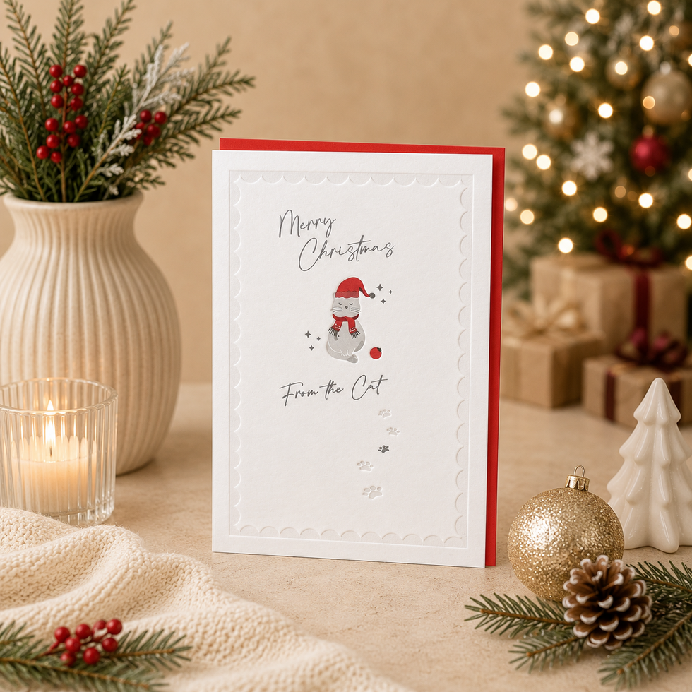 Copacetic Christmas Christmas Card from the Cat by Heyyy