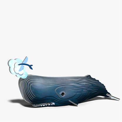 EUGY 092 Sperm Whale
