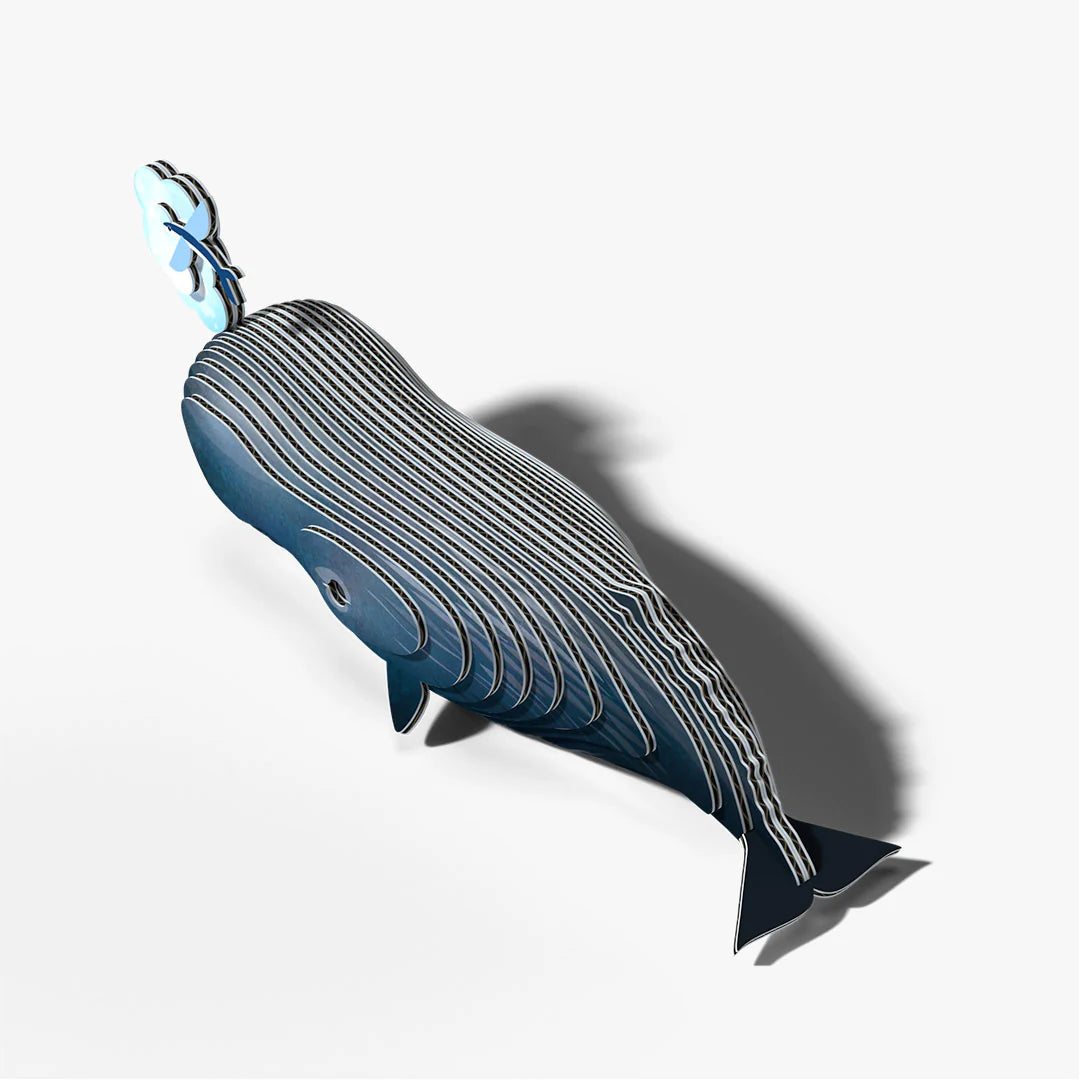EUGY 092 Sperm Whale