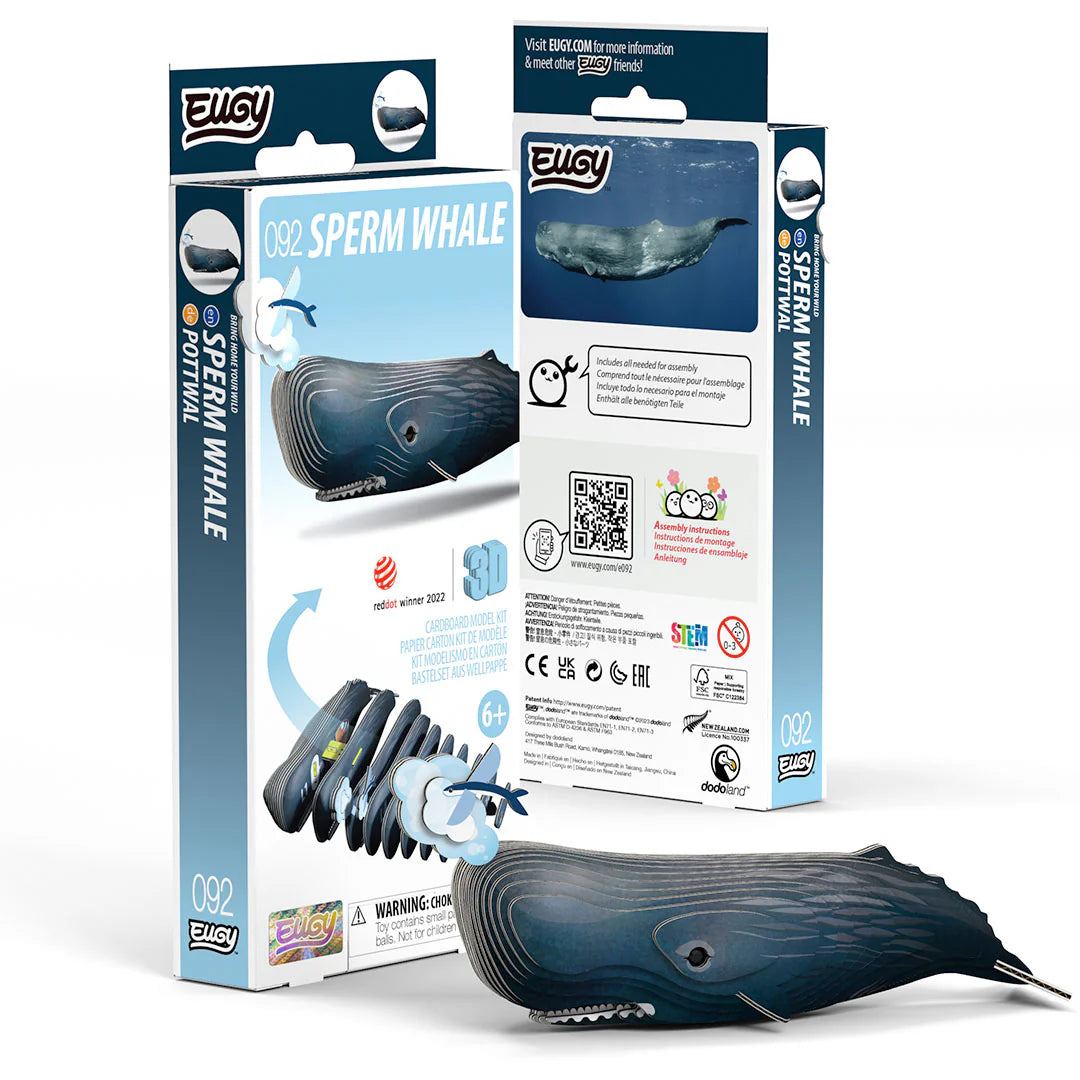 EUGY 092 Sperm Whale