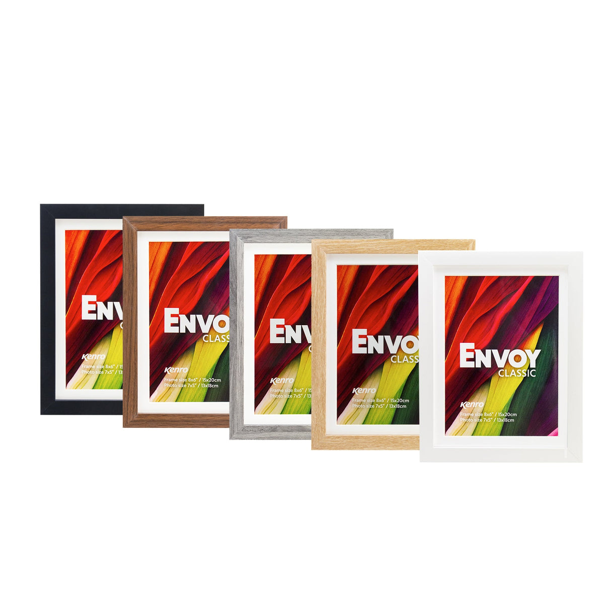 Kenro Envoy Classic frames group in all colours