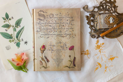 Paperblanks Flemish Rose Midi Hardback Journal – Lined, 144 Pages – design detail