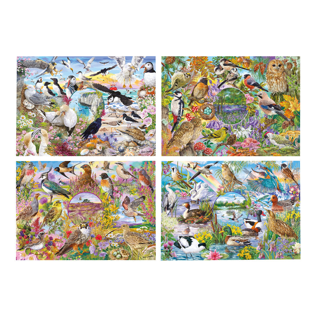 Gibsons RSPB Wings in the Wild 4 x 500 Piece Jigsaw Puzzles
