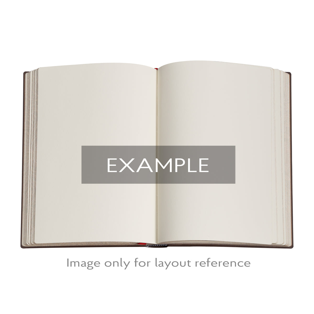 Paperblanks Daphnis Ultra Softback Flexi Journal – Plain, 176 Pages – inside pages in use