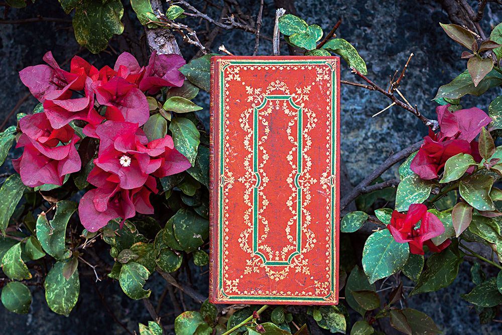 Paperblanks Ironberry Slim Hardback Journal – Lined, 176 Pages – design detail