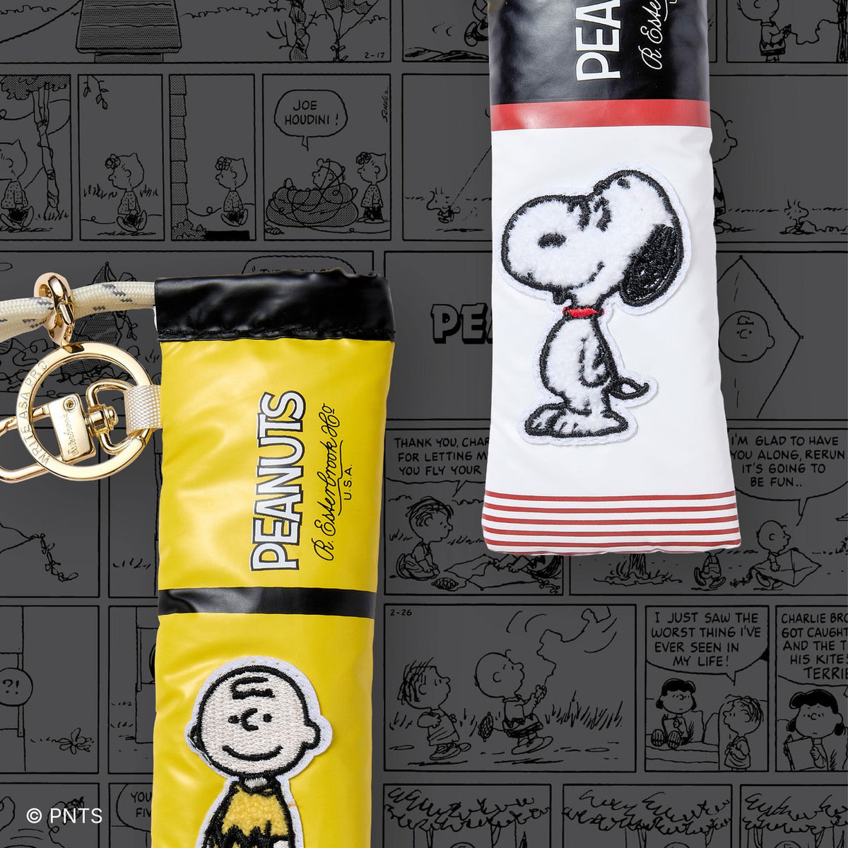 Peanuts pen case