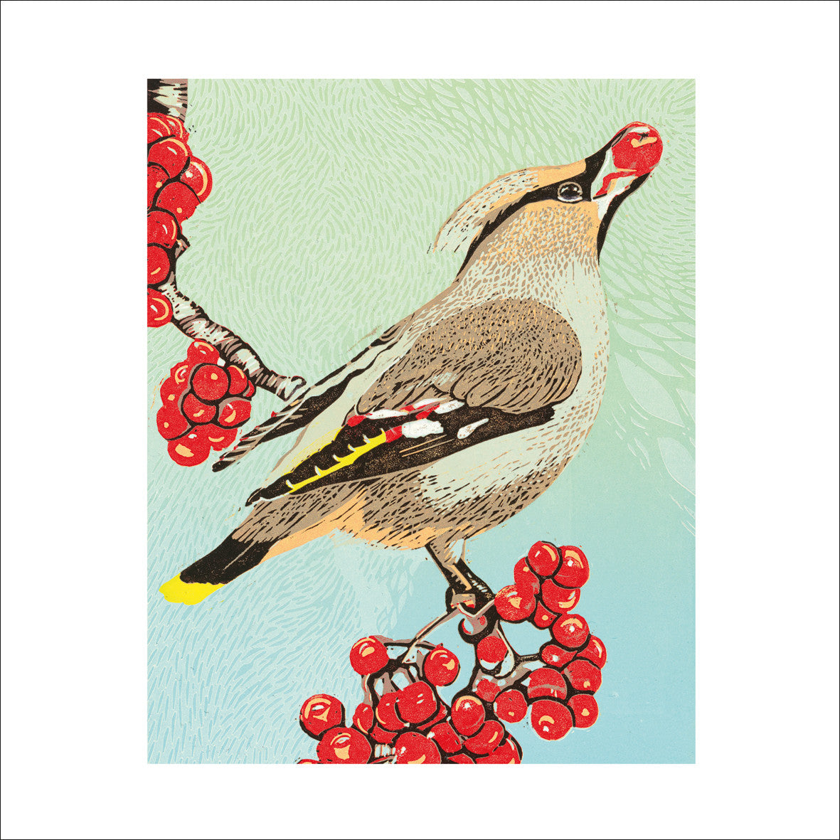 Waxwing & Rowan Berries Card by Lindsay Perrett