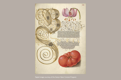 Paperblanks Lily & Tomato Midi Softback Flexi Journal – Lined, 176 Pages – design detail
