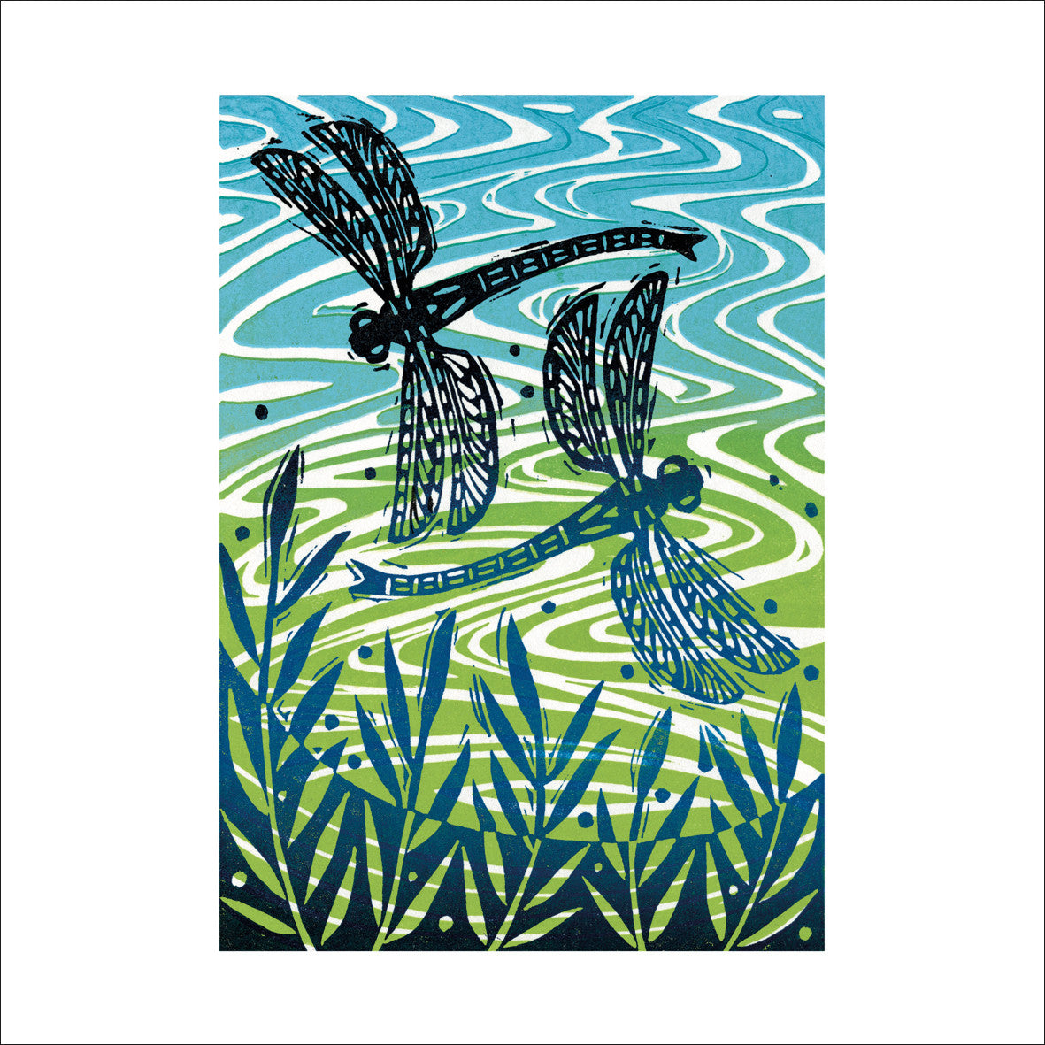 Dragonflies Card by Manda Beeching