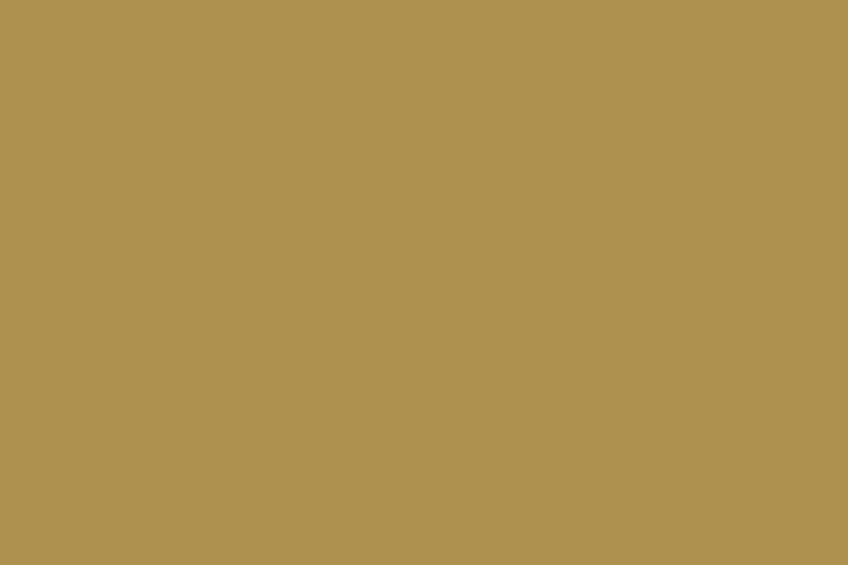 Montana Gold 400ml Spray Paint – Sand (CL8300)