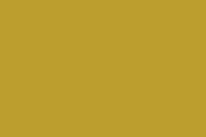 Montana Gold 400ml Spray Paint – Curry (G1050)